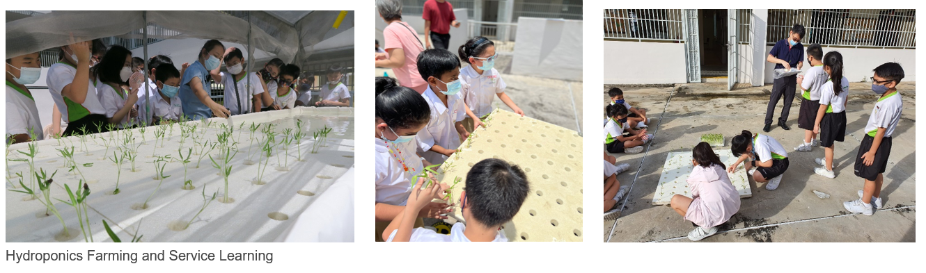 Students wearing masks participate in hydroponics farming, tending to seedlings in white growing trays outdoors.