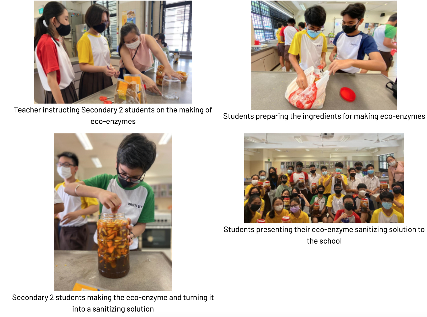 Students wearing masks making eco-enzyme sanitizing solution, from preparation to a group photo holding jars.