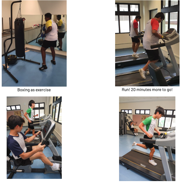 Four gym scenes: boxing a punching bag, running on treadmills, using a rowing machine, and stepping off a treadmill.