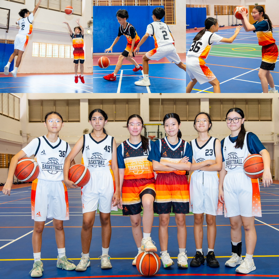 Basketball