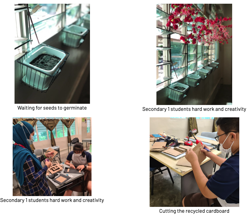 Four photos show plant trays by windows, pink flowers, students crafting with cardboard, and a boy cutting recycled cardboard.