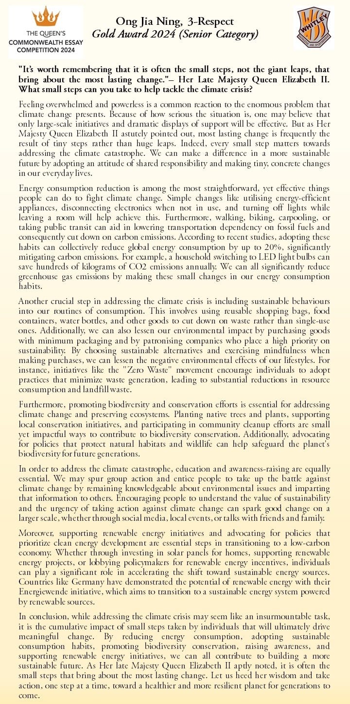 A Gold Award 2024 winning essay by Ong Jia Ning on tackling climate crisis through small steps.