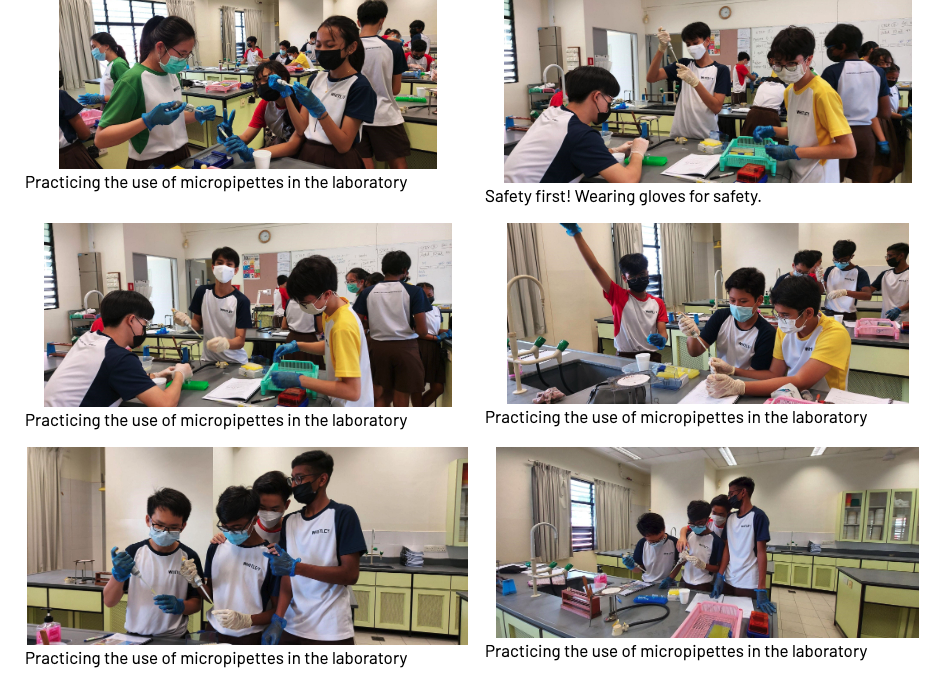 Six photos of masked students in school uniforms practicing micropipette use in a science laboratory.