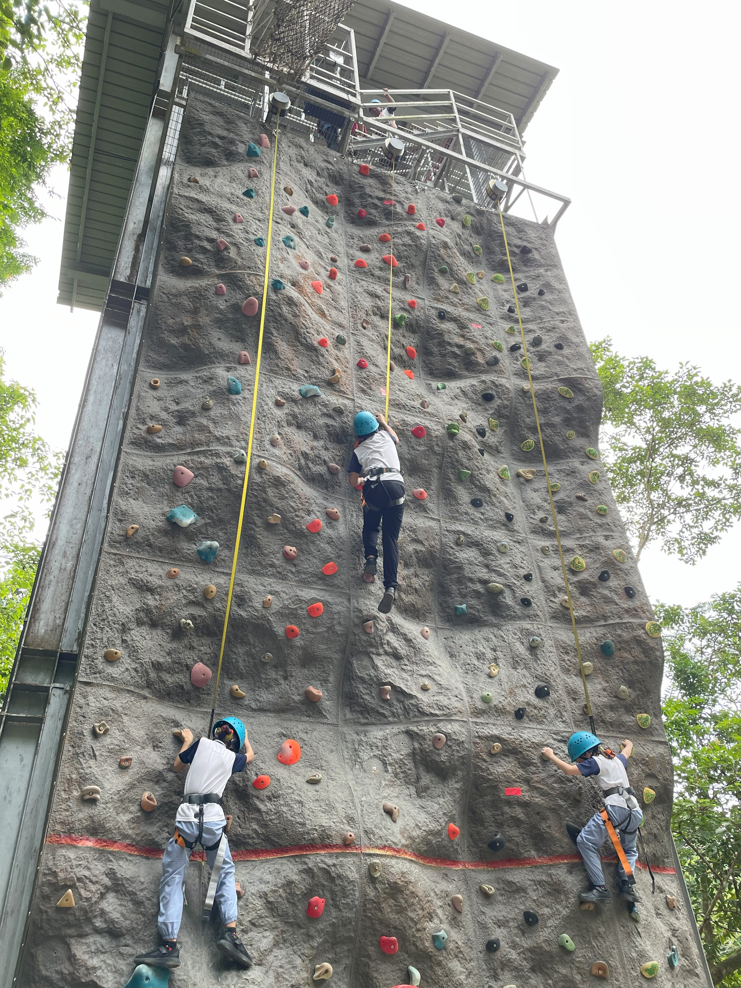 P5 Camp - Rock climbing wall