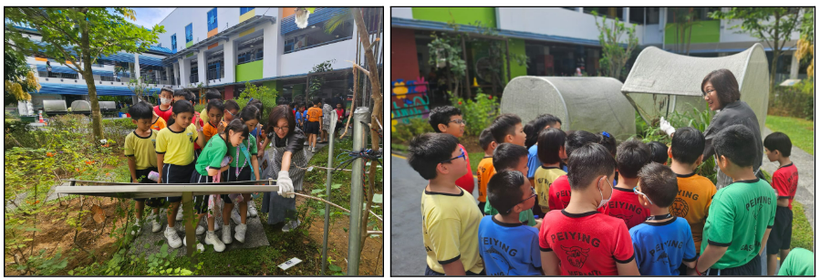 Children in colorful uniforms gather outdoors with a teacher near plants and a tunnel greenhouse at a school.