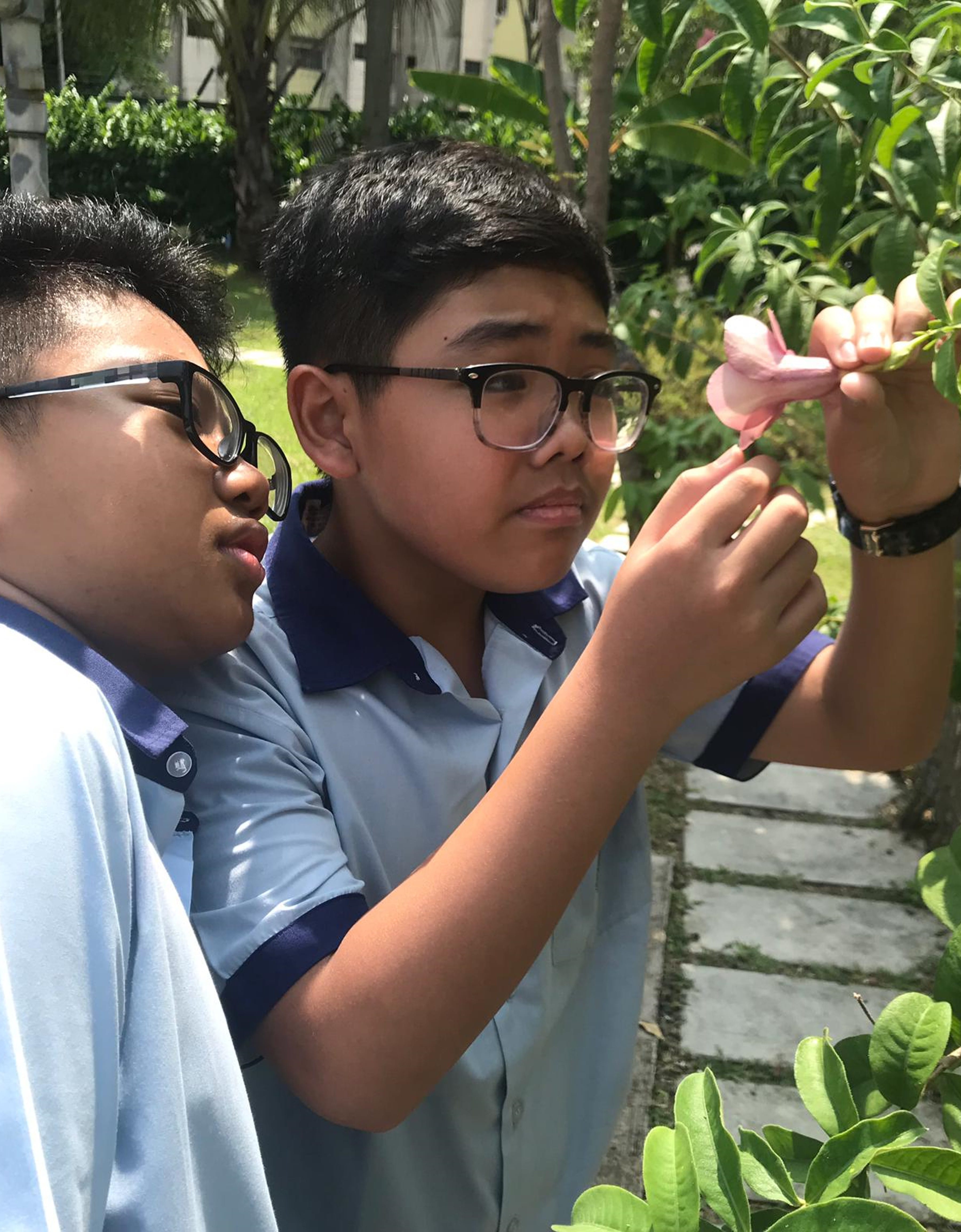 Two boys wearing glasses and blue uniforms closely examine a pink flower on a plant outdoors.