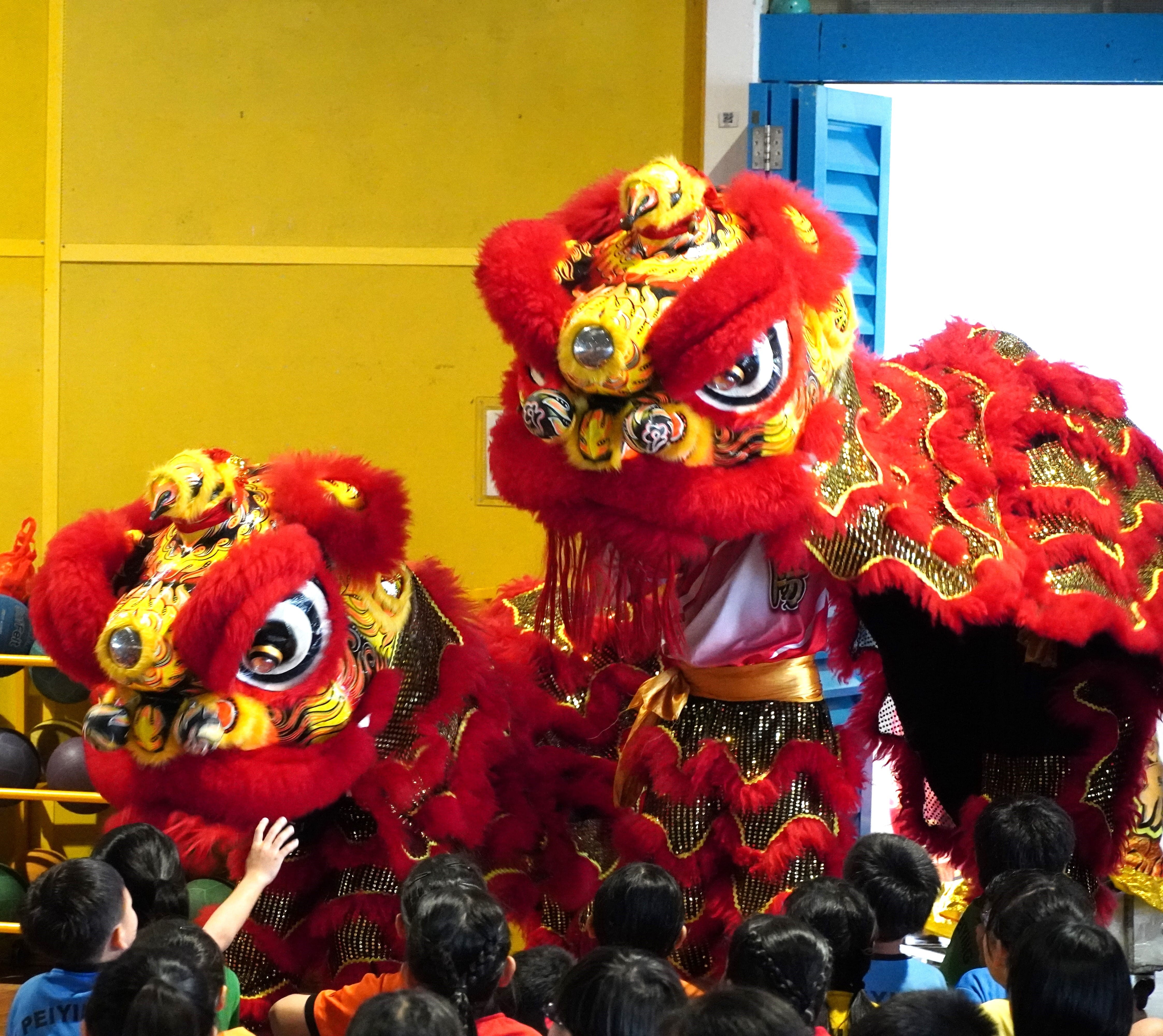a lion dance among the school community.