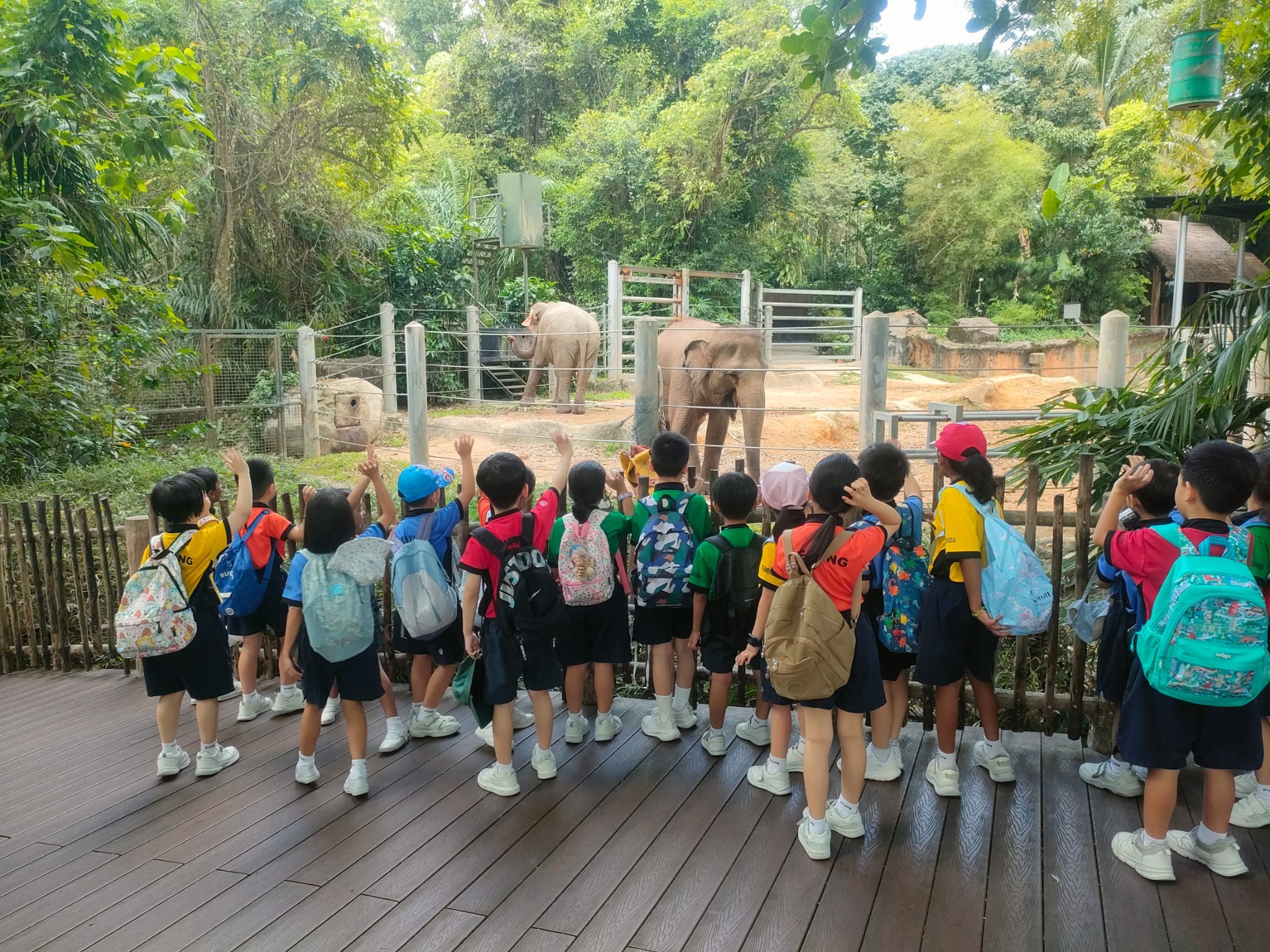 Students exploring a nature area.