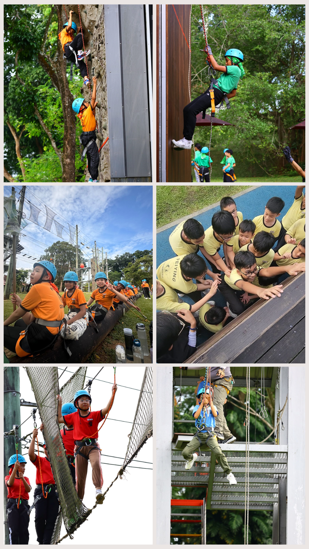 Children in helmets doing outdoor adventure activities including rock climbing, rope courses, rappelling, and team challenges.