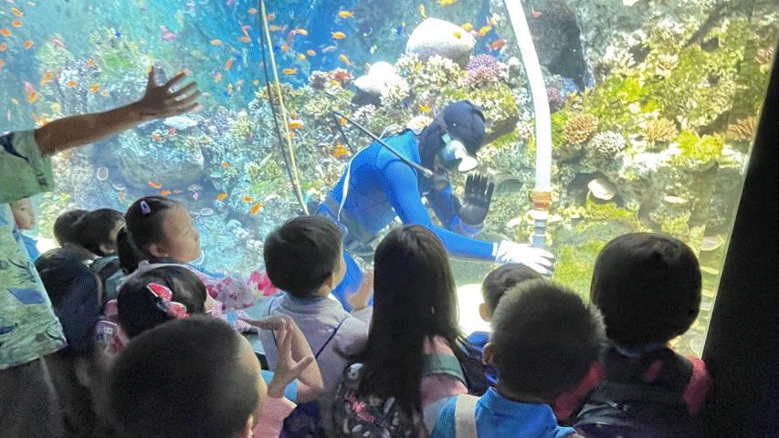 Children watch a scuba diver in a blue wetsuit wave from inside a large coral reef aquarium tank.