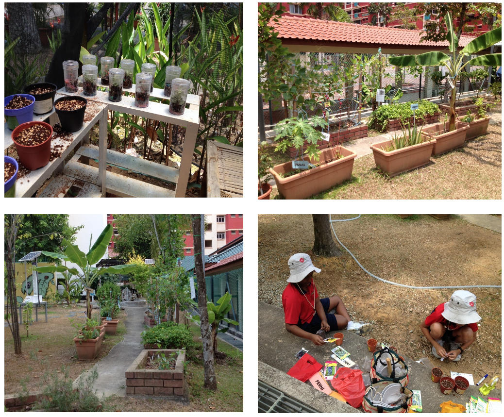 Four photos of a community garden showing plant jars on shelves, raised planter beds, a garden path, and two children potting plants.