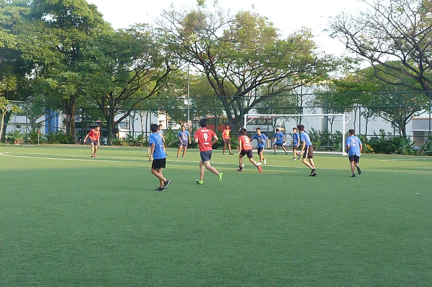 Two teams in red and blue jerseys play soccer on a green field with a goal and trees in the background.