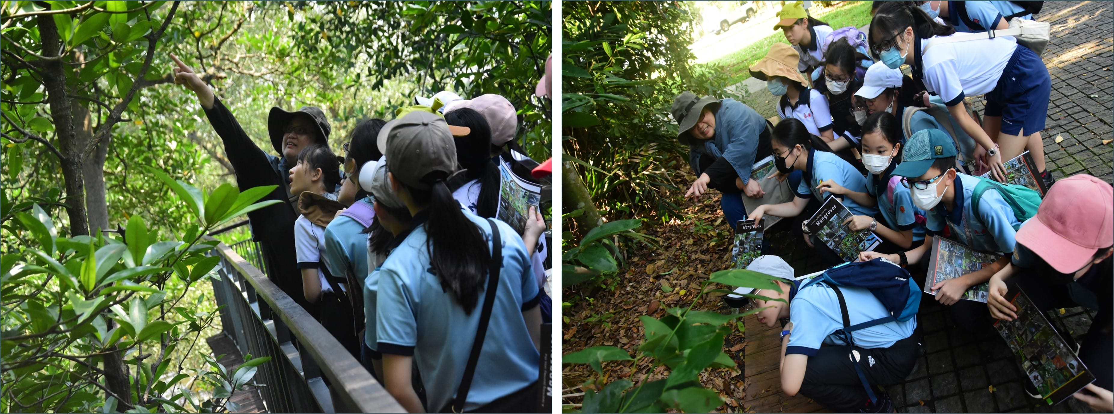 students on learning journey to the Singapore Zoo