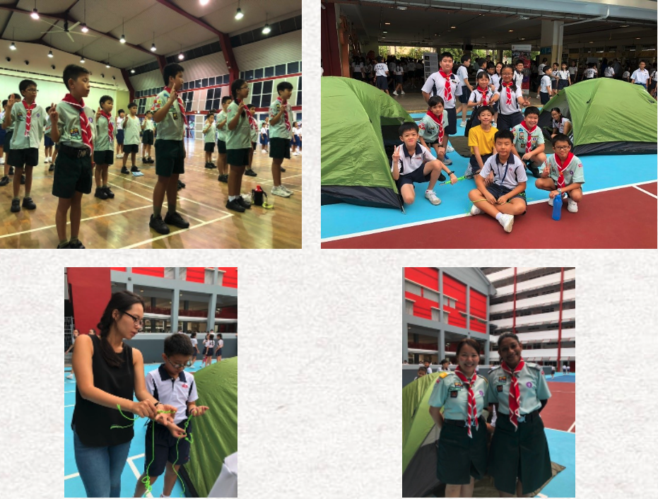 Four photos of young scouts in uniform doing activities including indoor drills, tent setup, and rope tying.