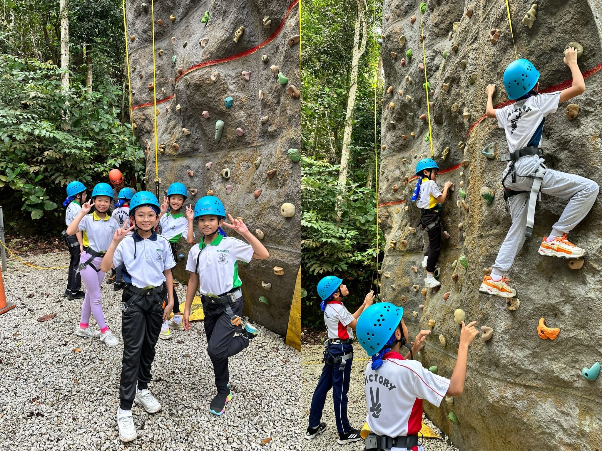 Children in blue helmets and harnesses pose and climb an outdoor rock wall surrounded by green trees.