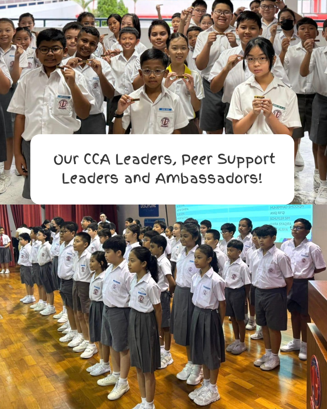 Two photos of school students in white uniforms holding badges and standing in rows at a ceremony.