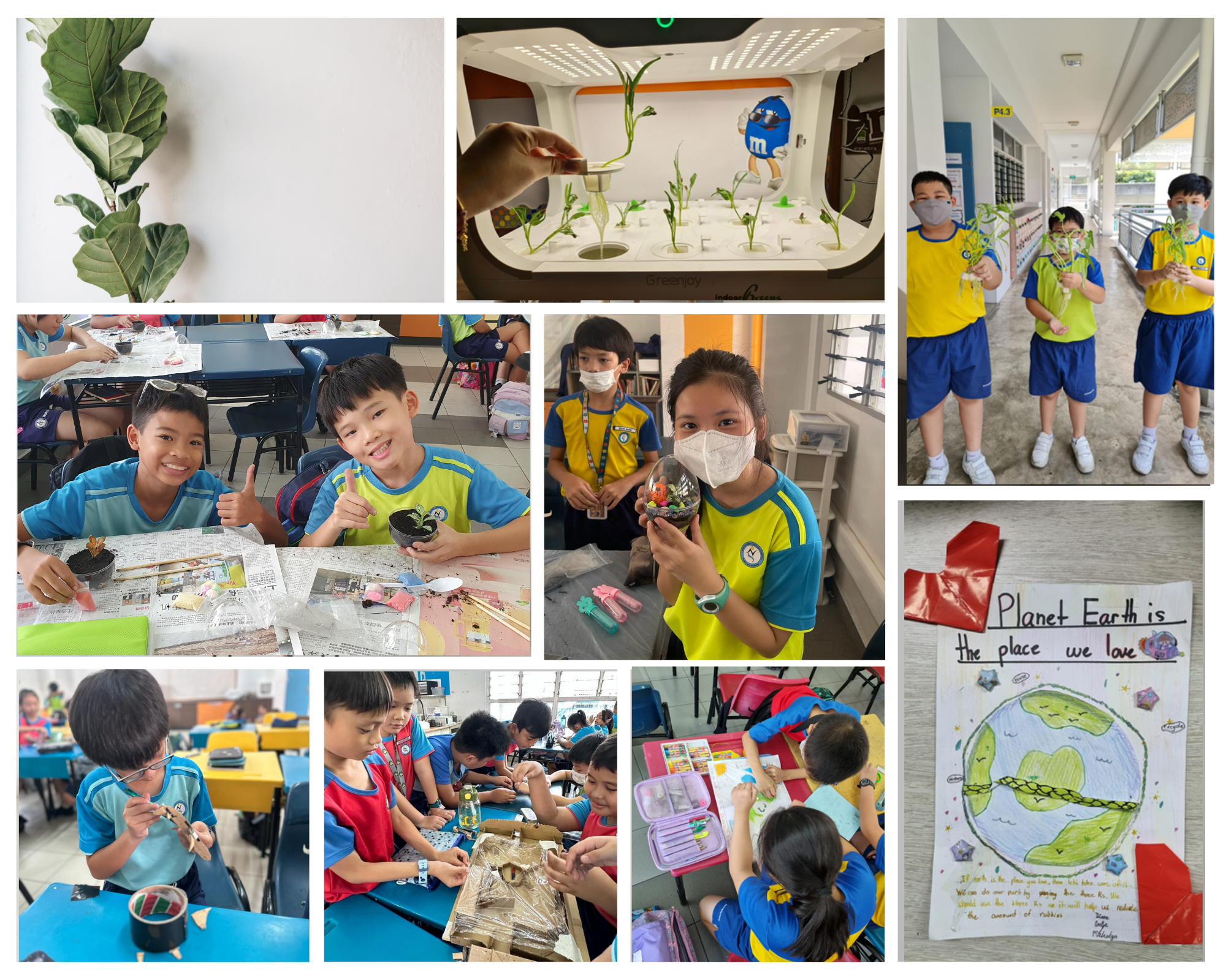 Collage of kids crafting and holding small plants, plus a classroom plant grow box and an Earth poster.
