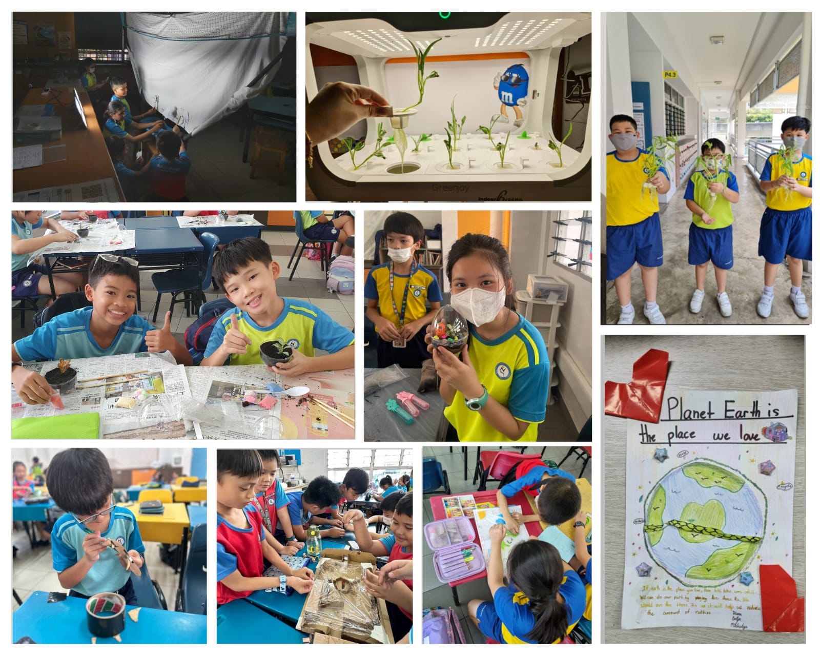 Collage of young students in blue uniforms doing plant growing, crafts, and Earth-themed activities at school.