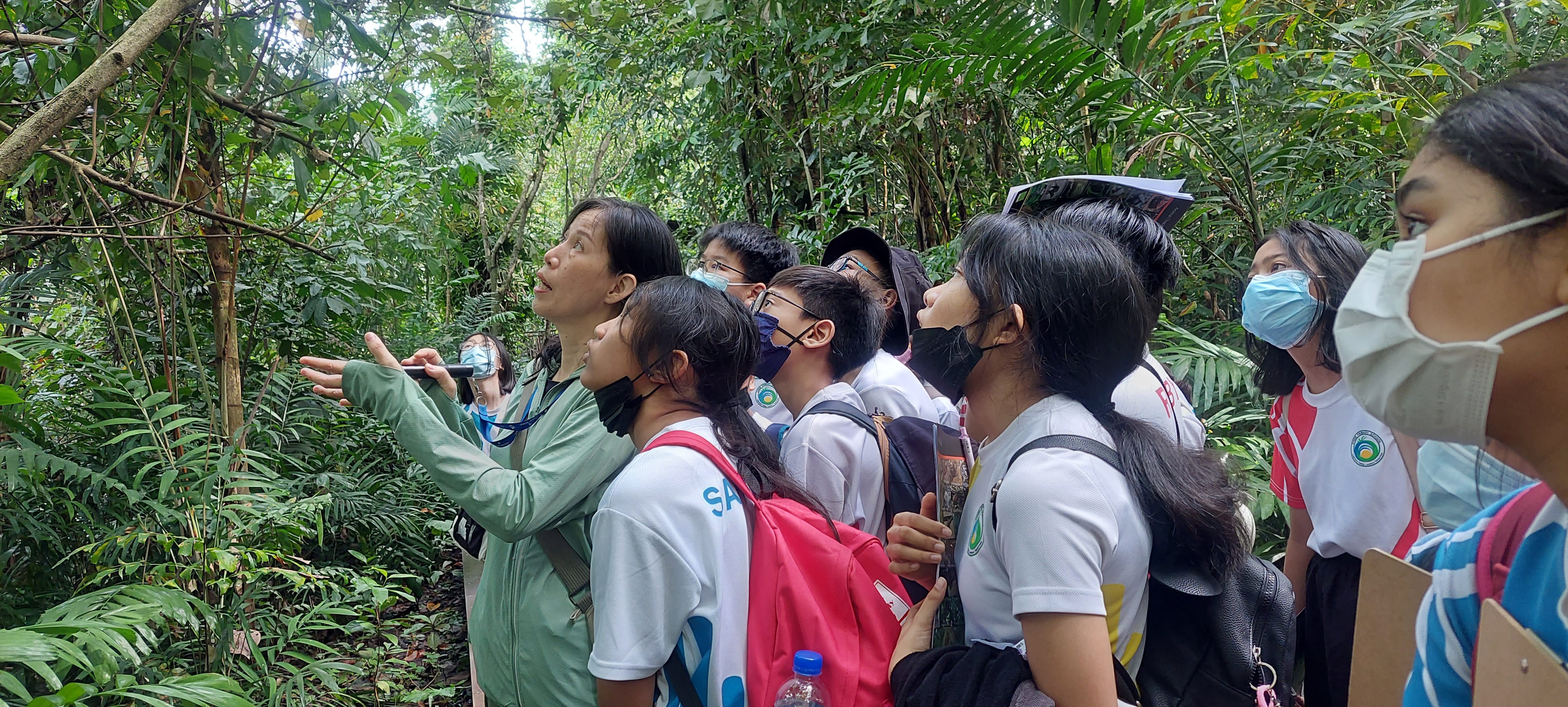 A group of students wearing face masks stand in a dense forest, listening to a guide who is pointing toward vegetation during an outdoor educational nature walk.