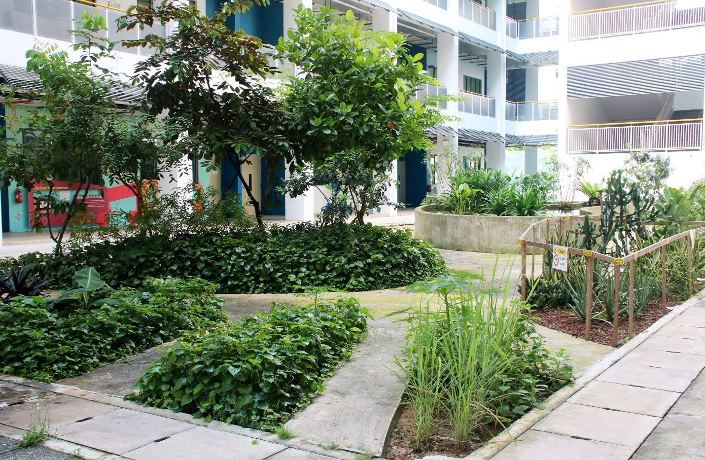 Lush courtyard garden with trees, shrubs, and raised planting beds surrounded by a multi-story building.