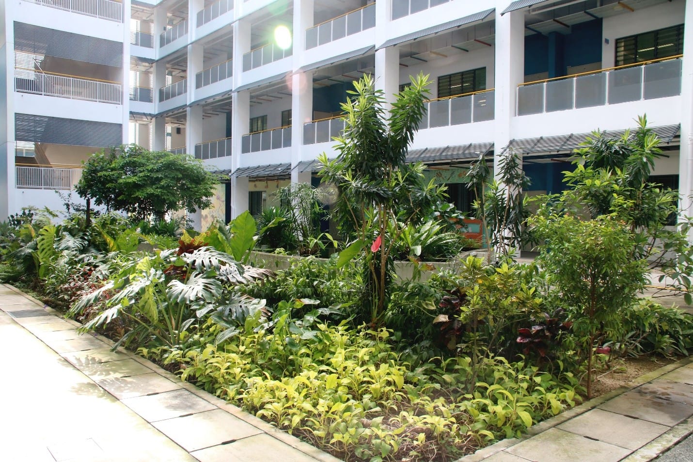 A lush tropical garden courtyard with dense green plants and trees surrounded by a multi-storey white building.