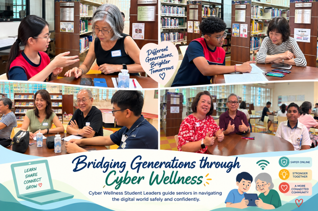 Cyberwellness for elderlys
