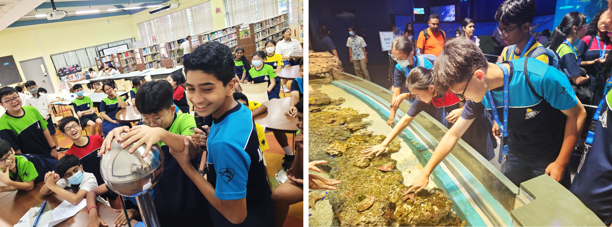 Students in a library examine a shiny sphere, while others touch marine life in an aquarium touch pool.