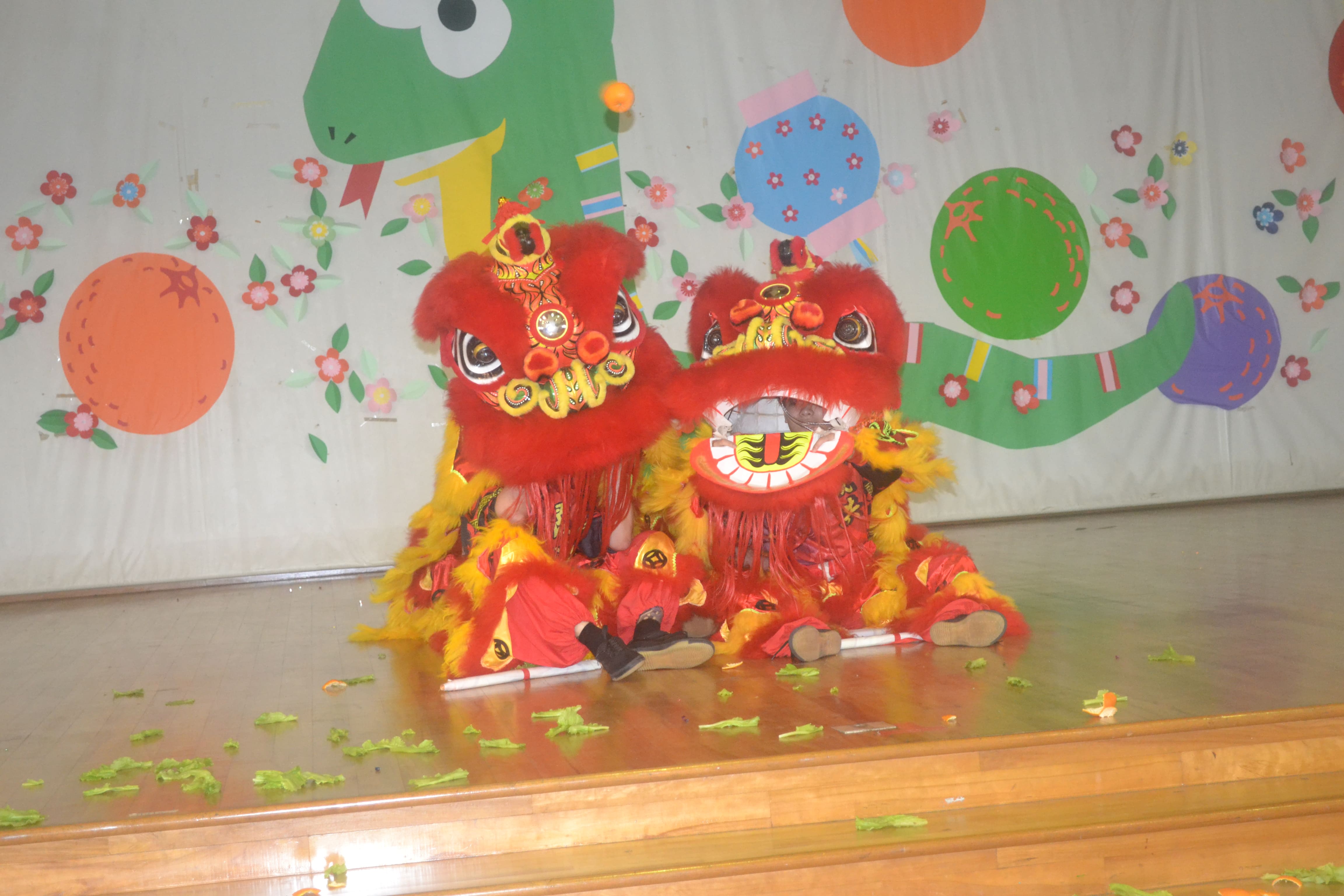 2025 Chinese New Year