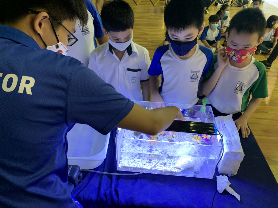 Adult demonstrates a lit aquarium to three masked schoolboys leaning in to watch.