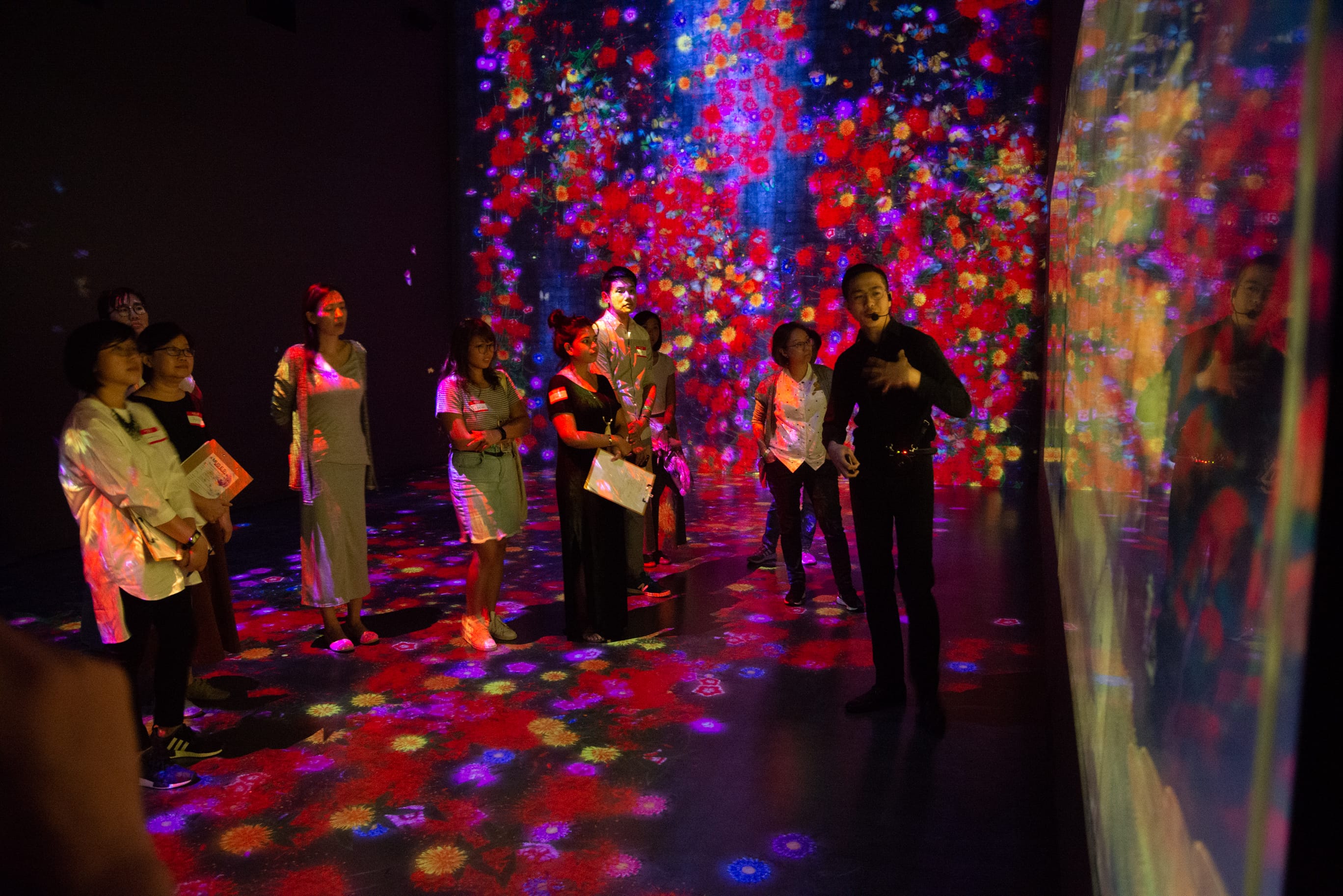 Group of people in a dark room as a guide gestures, surrounded by colorful flower-like light projections.