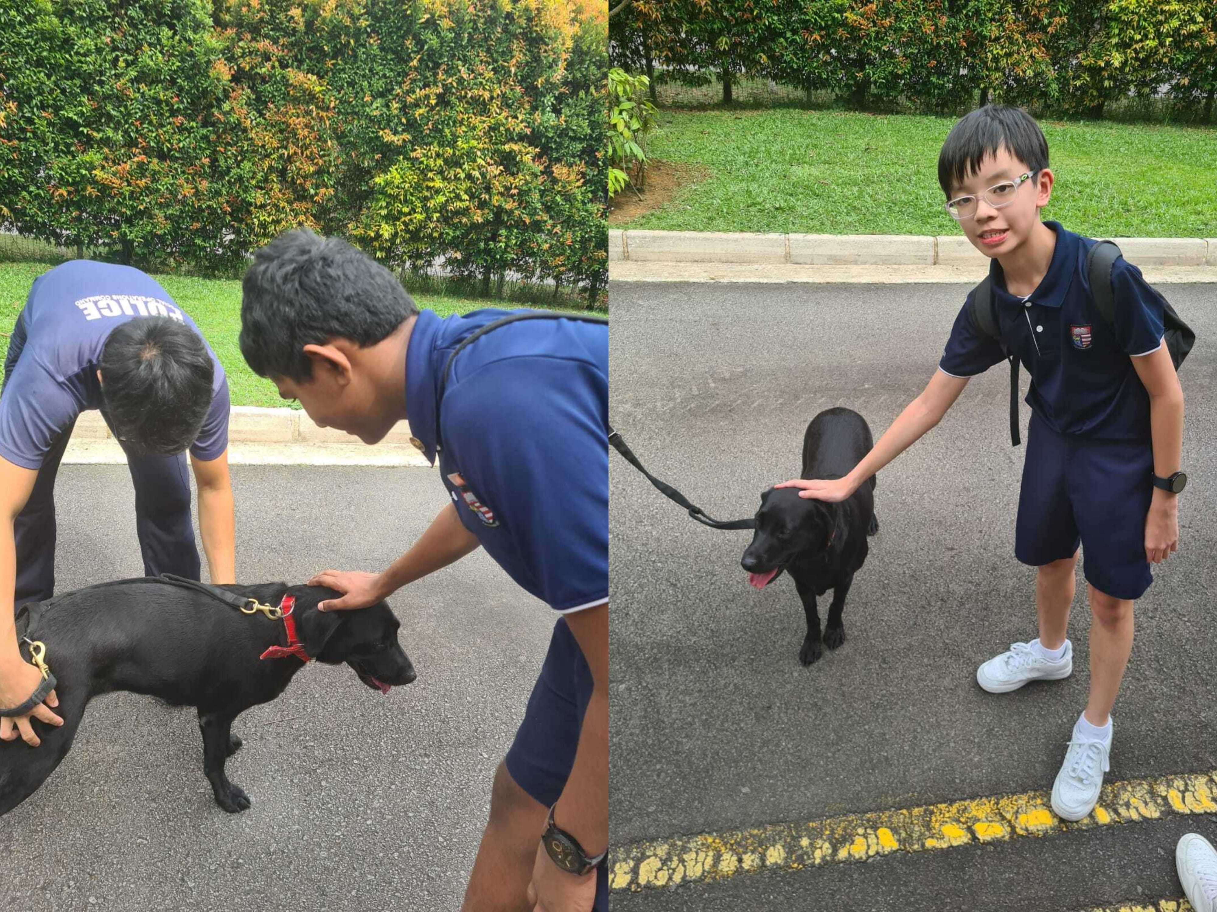 Two boys in navy uniforms pet a black Labrador on a leash outdoors near green bushes and a paved path.