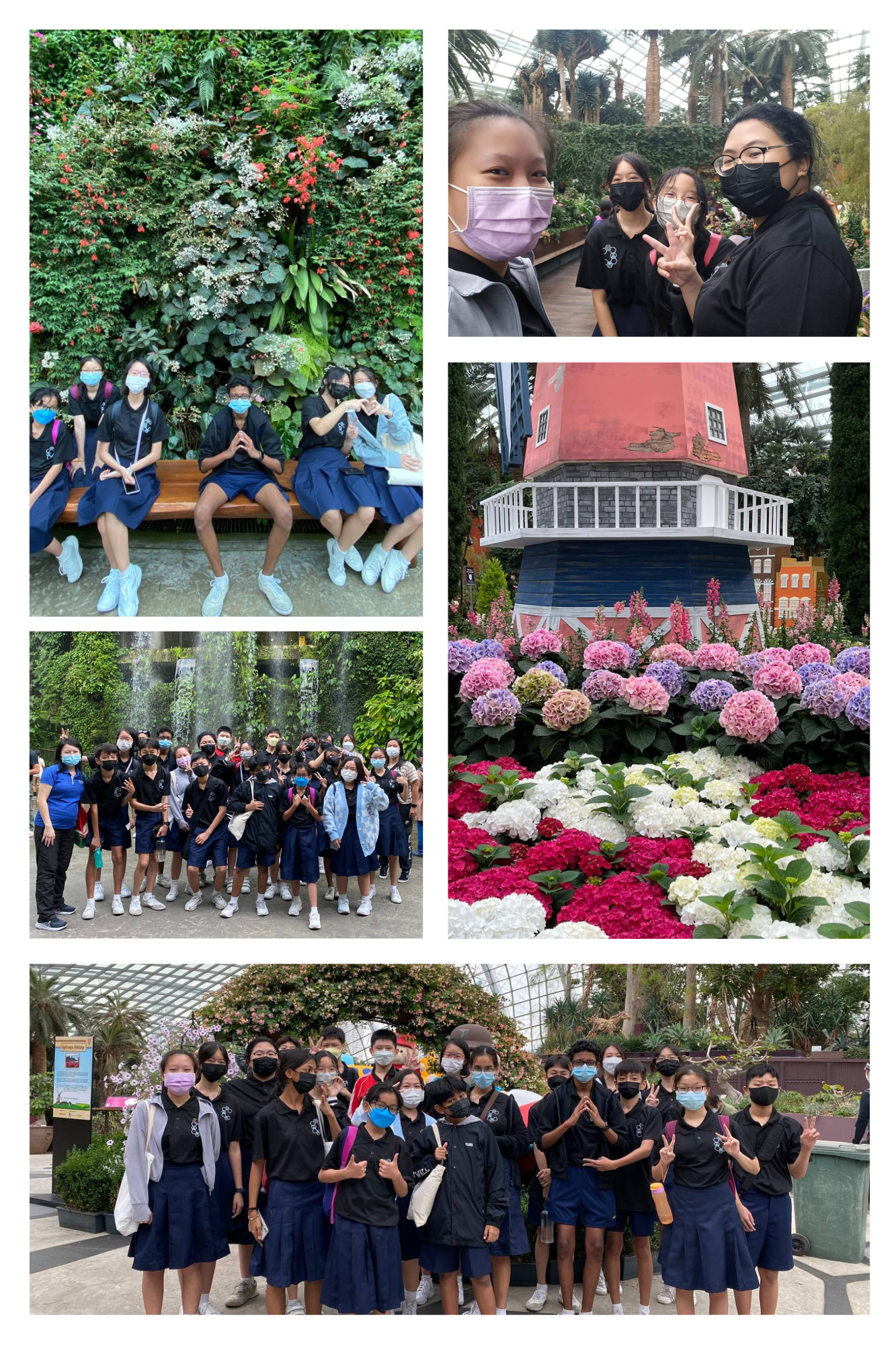 4 photos of students at Gardens by the Bay