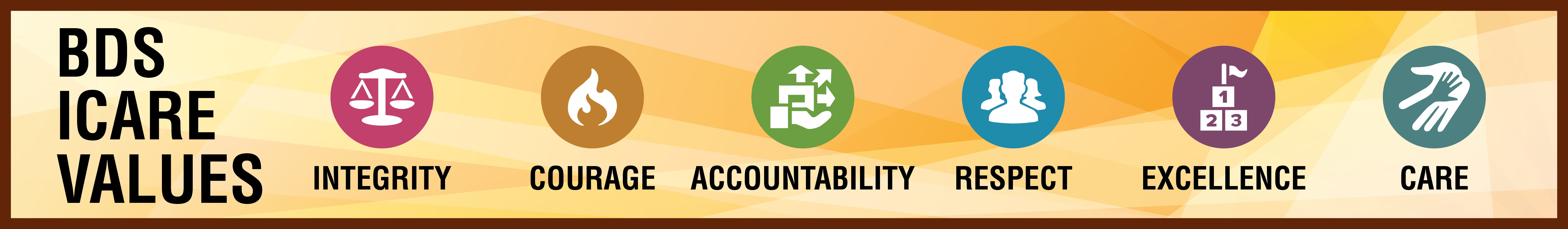 BDS ICARE VALUES banner with icons and words: Integrity, Courage, Accountability, Respect, Excellence, Care.