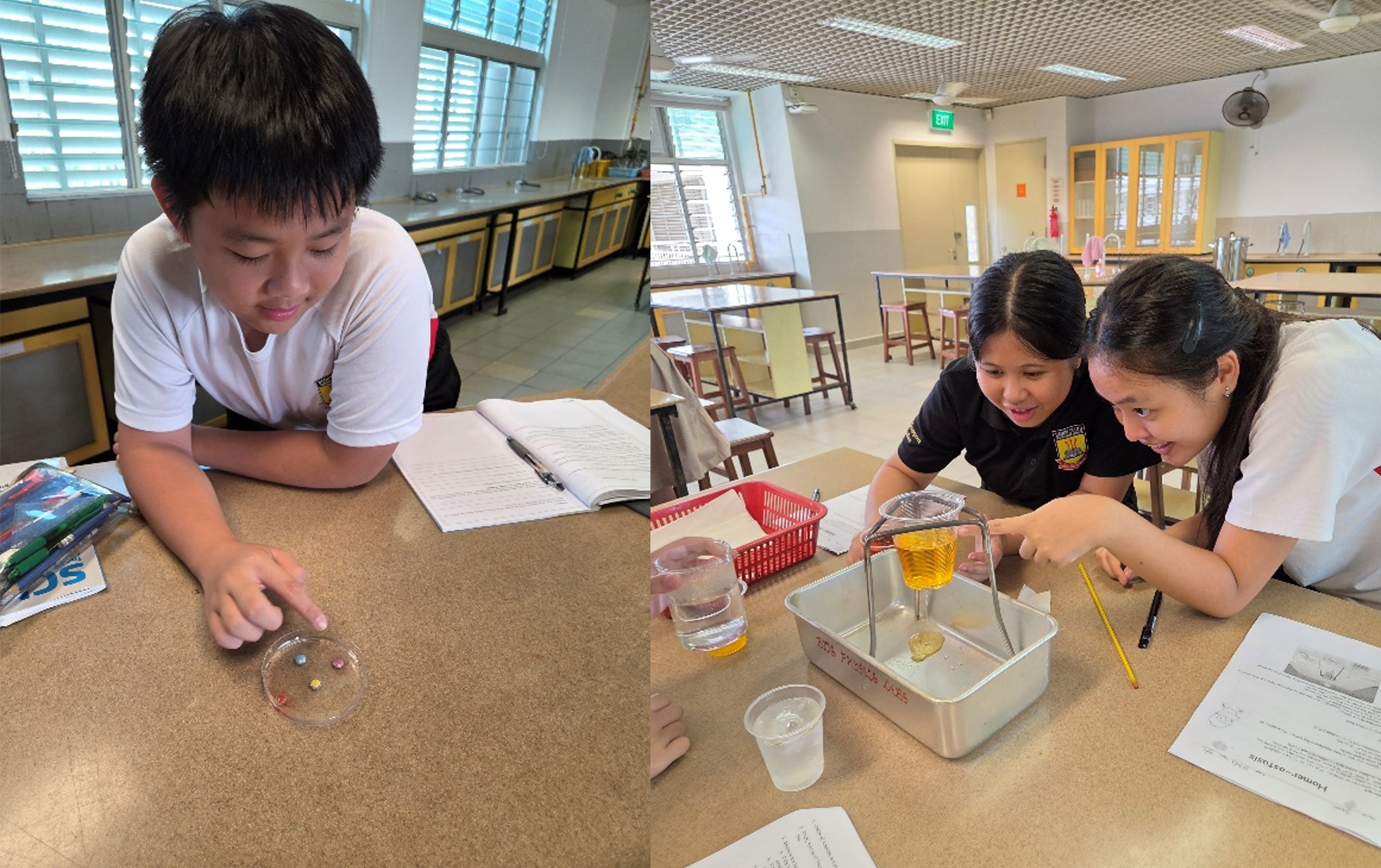 (Left photo) A BDS student leans over a laboratory table, inspecting colorful candies arranged in a petri dish during a science experiment. (Right photo) Two BDS students closely observe and point to a science experiment setup featuring liquid in a filter suspended over a tray on their lab bench.