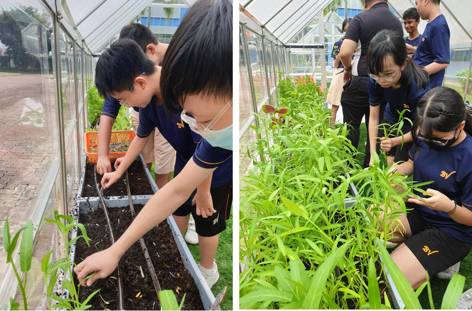 SEW (Food Sustainability)