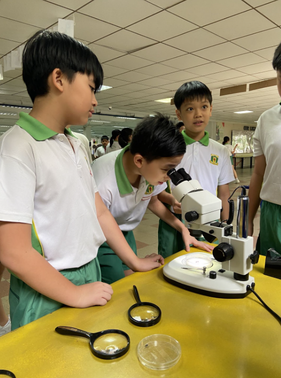 A student looking through a microscope 4