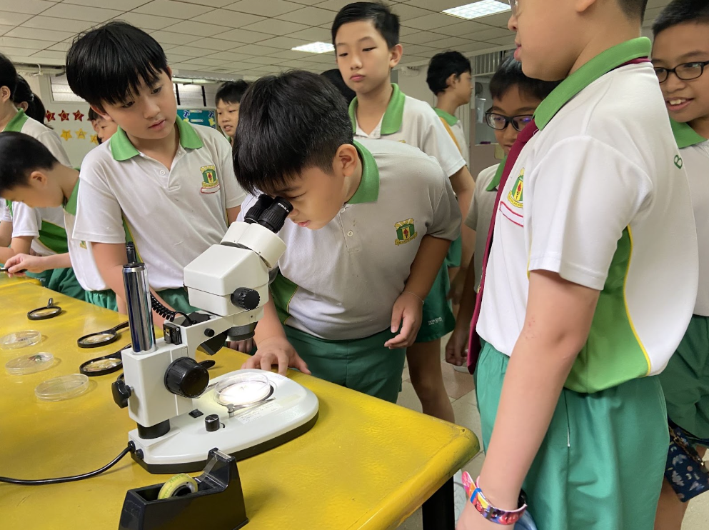 A student looking through a microscope 3