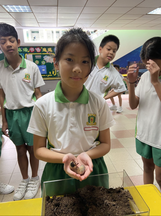 Student cupping with their hands a caterpillar 3