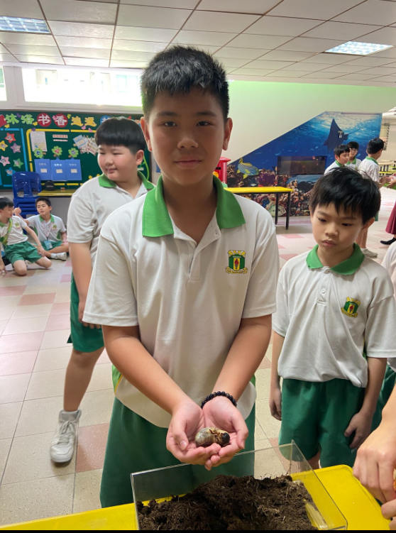 Student cupping with their hands a caterpillar 1