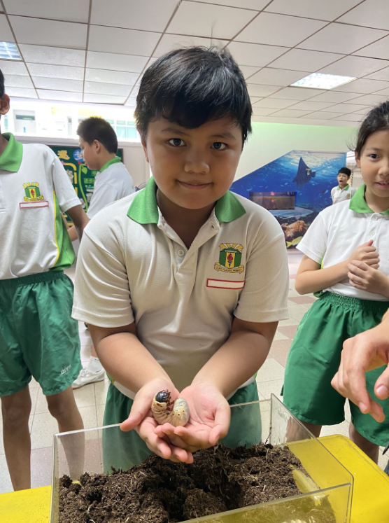 Student cupping with their hands a caterpillar 2