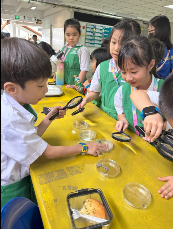 Students using magnifying glass on specimens
