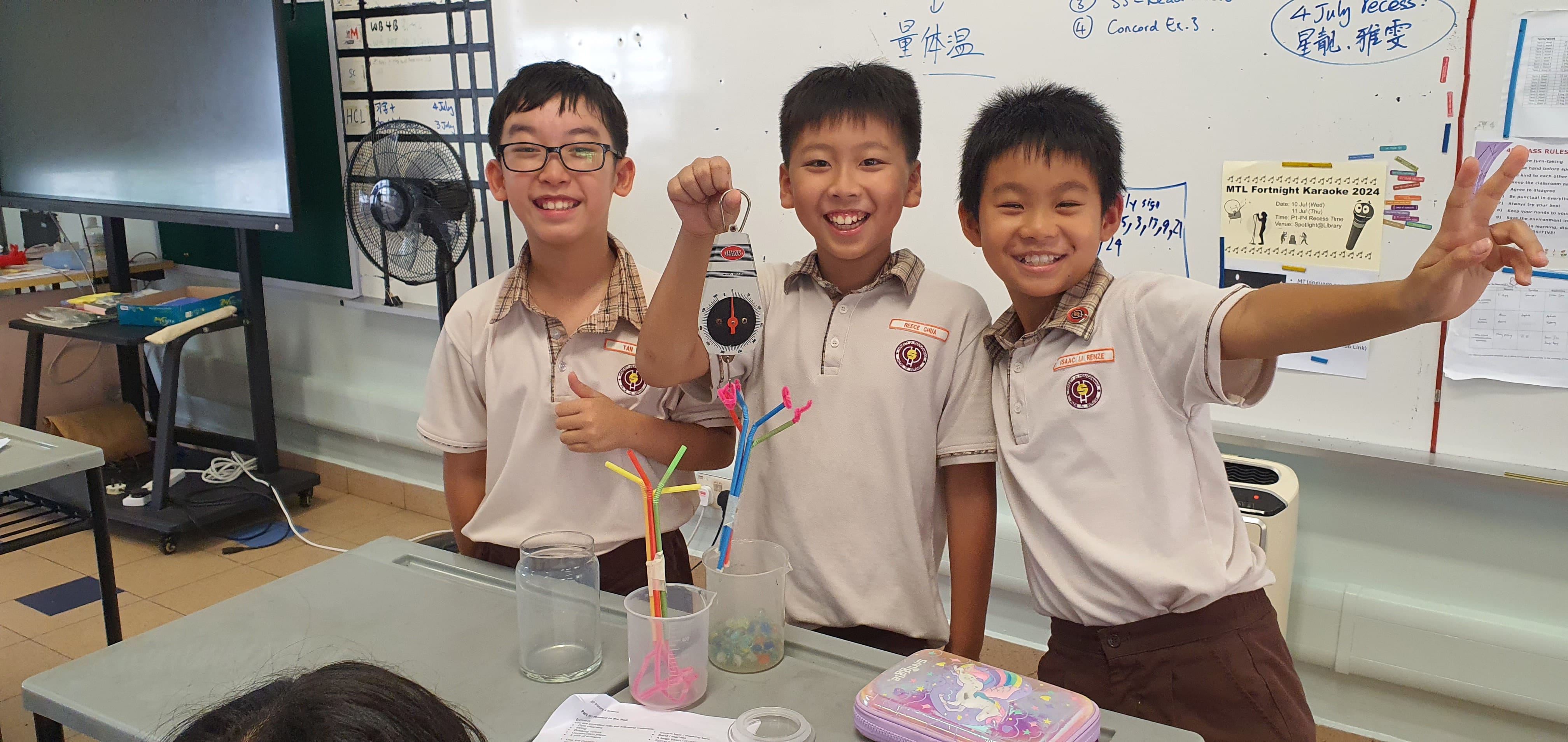 P4 Experiment on root strength