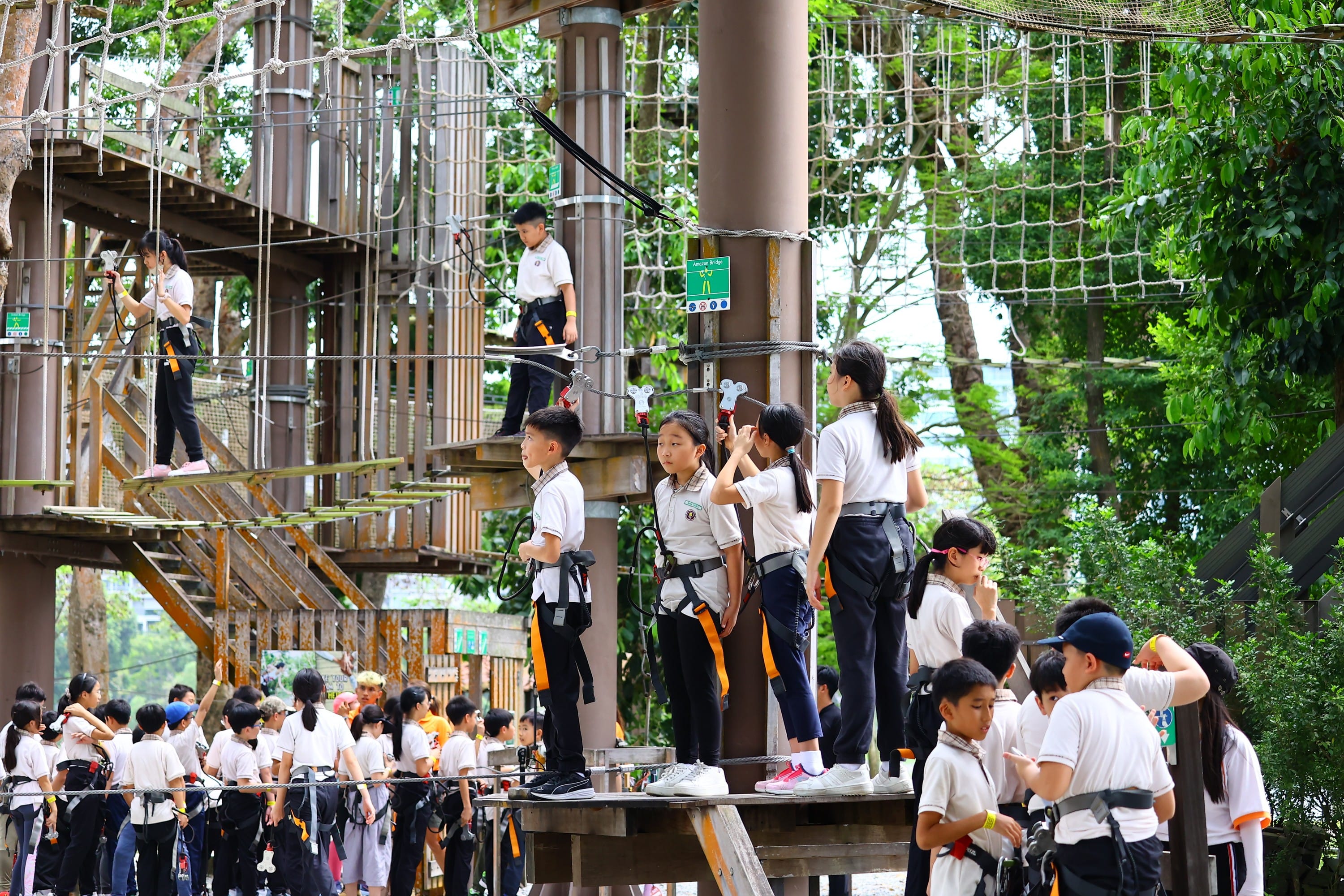 The P5 students involved in forest adventure