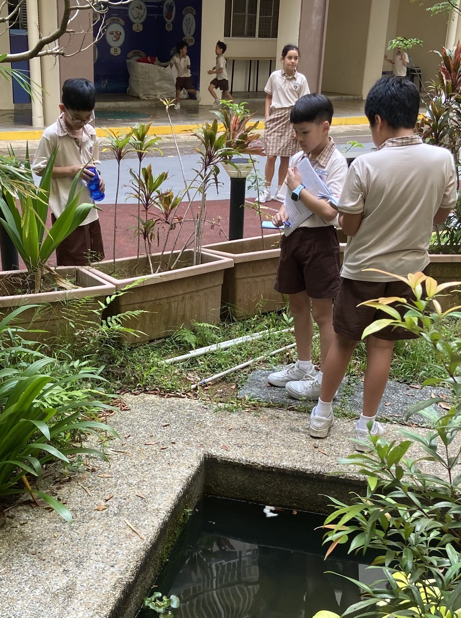 P4 Students engage in Observational Field Study