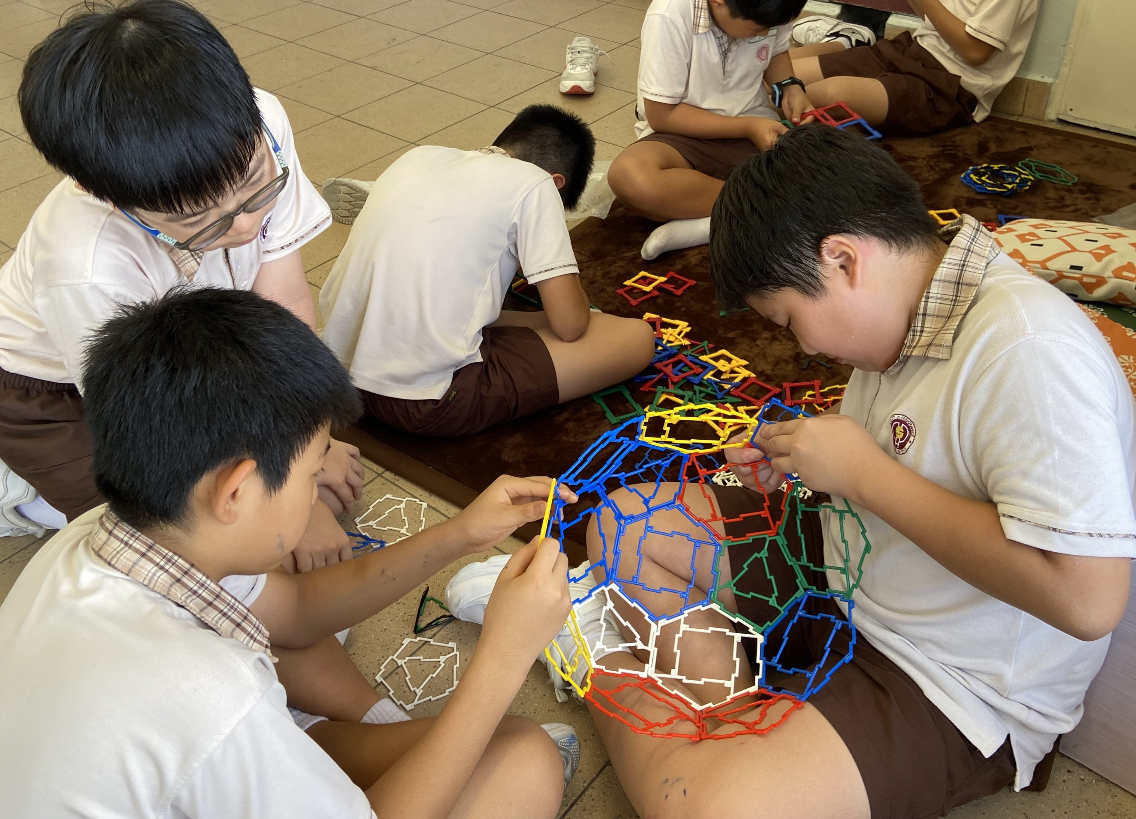 P6 Lesson on Nets