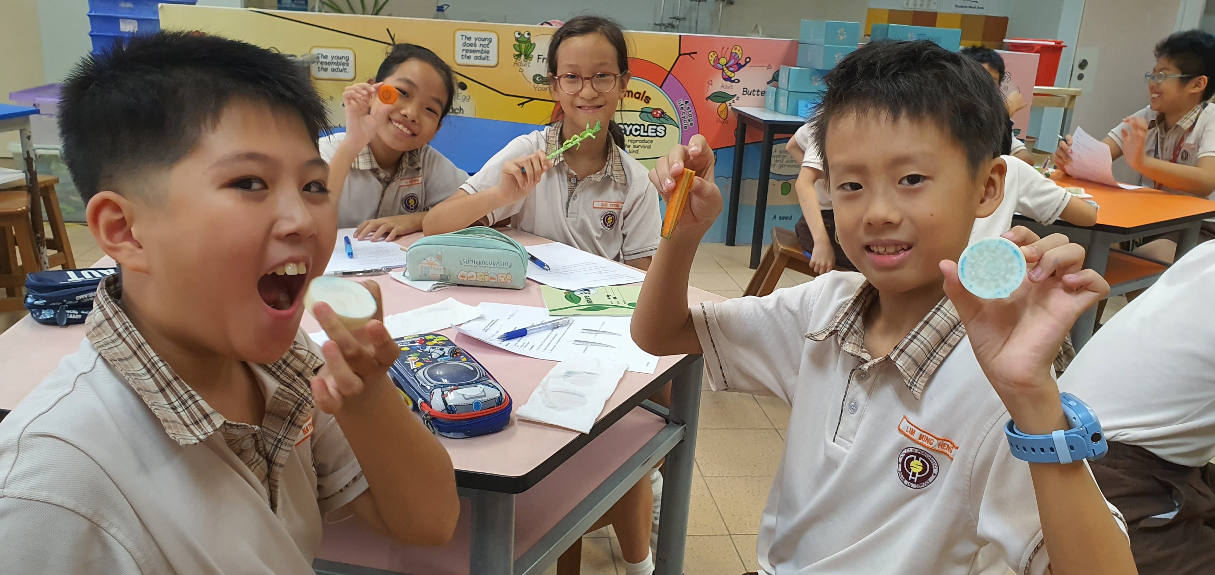 P4 Students observing plant part samples