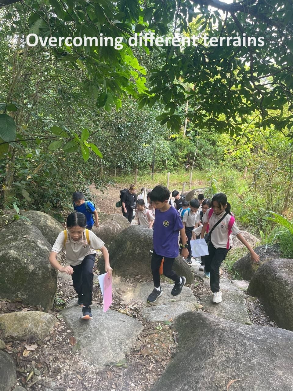 Different terrains at Rifle Range Hike