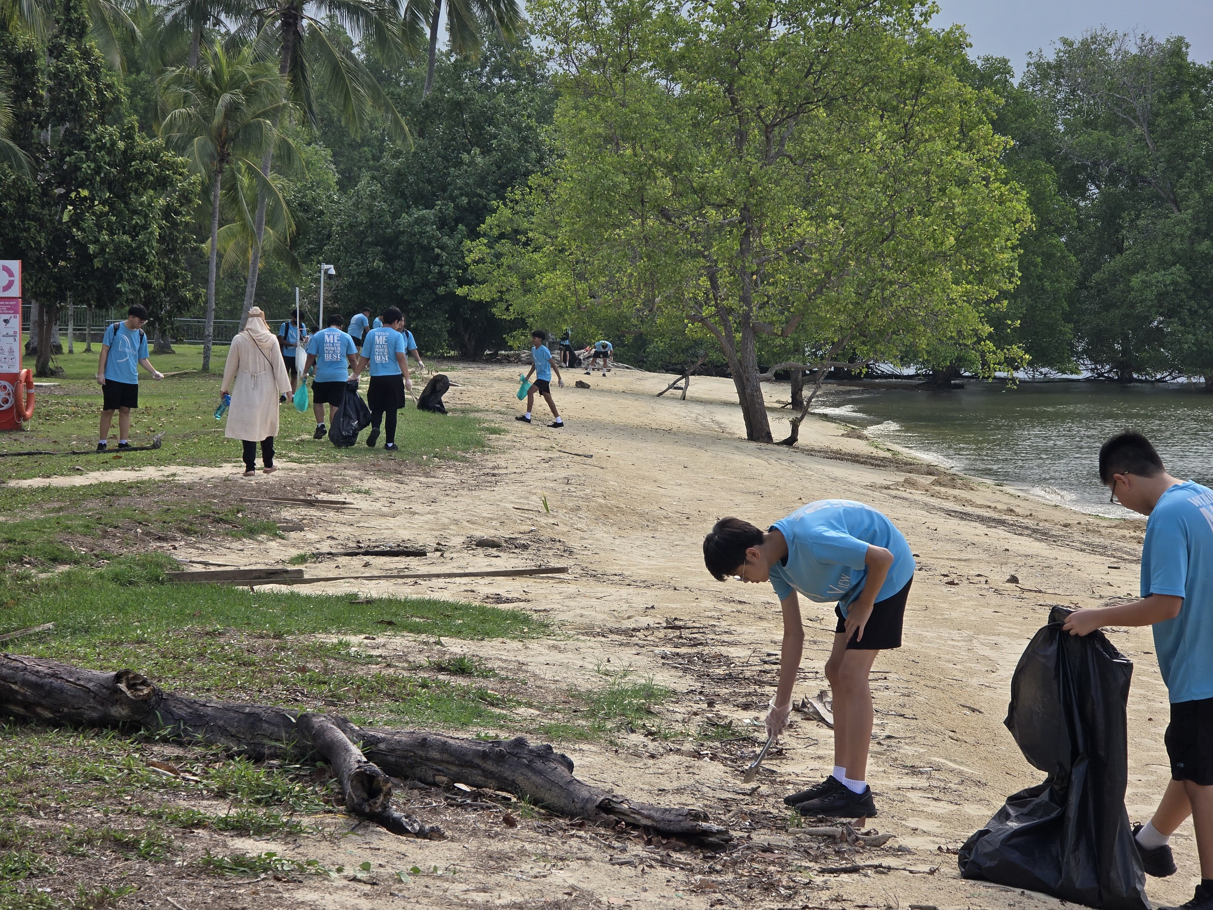 A group in blue shirts collects trash in black bags along a sandy beach lined with palm and mangrove trees.