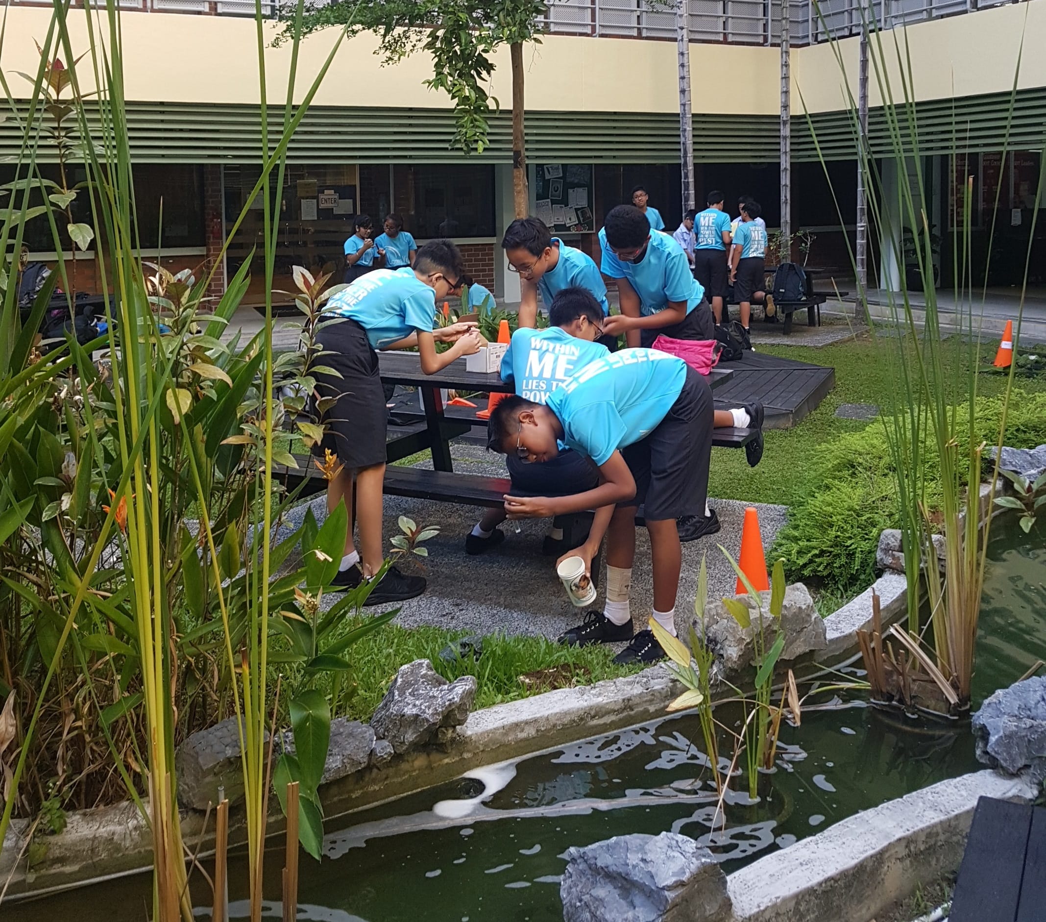 Students in blue shirts lean over a pond and work at a picnic table in a school courtyard with plants.
