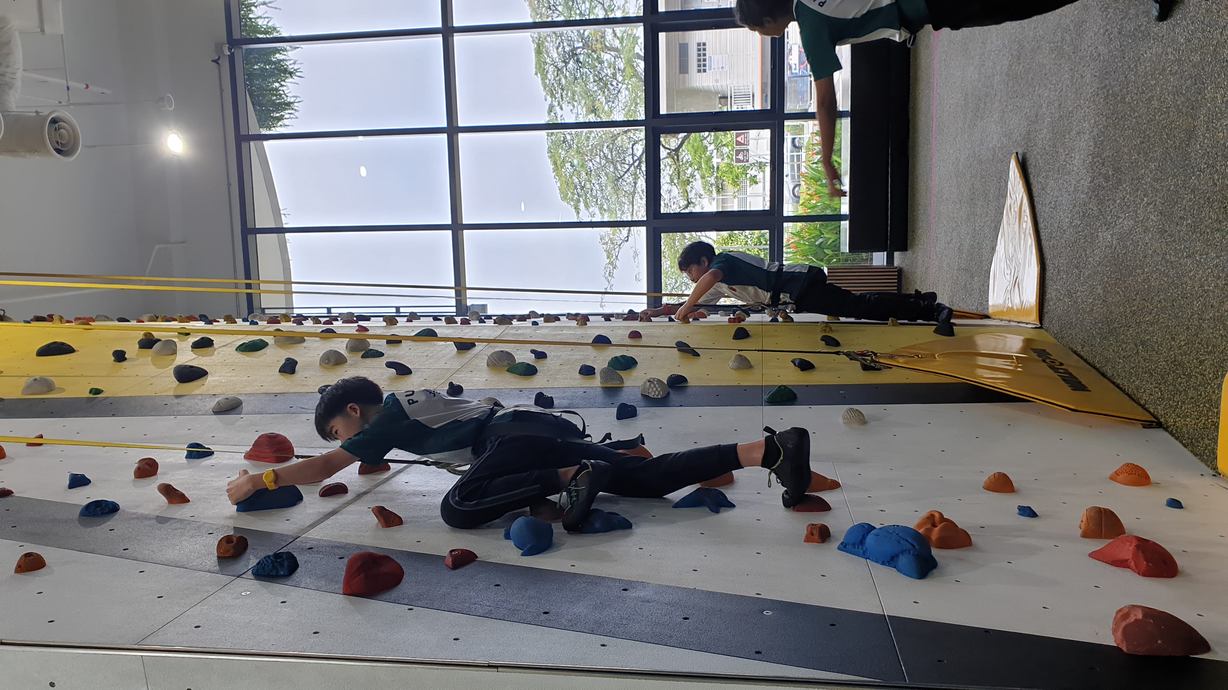 Two children climb an indoor rock wall with colorful holds while a third child watches from below.